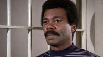 Quartet for a Blunt Instrument