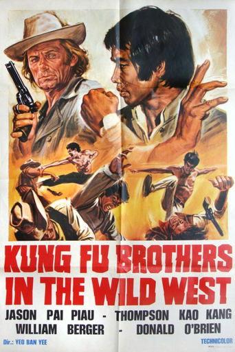 Kung Fu Brothers in the Wild West film afişi