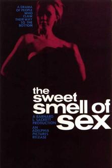 Sweet Smell of Sex film afişi