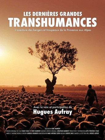 Les dernières grandes transhumances film afişi