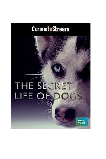 The Secret Life of Dogs film afişi