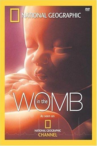 In The Womb film afişi