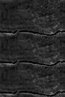 A Radical Film film afişi