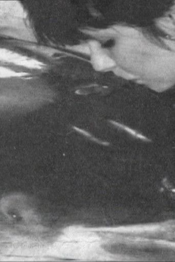 The World as a Collection film afişi