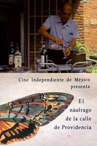 The Castaway on the Street of Providence film afişi