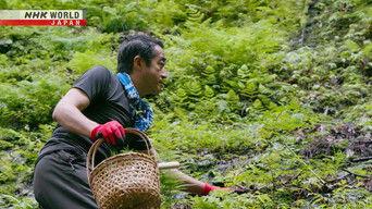 Kyoto Foraging Master - Nakahigashi Hisato
