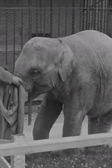 The Thirteenth Instant film afişi