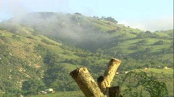 Beyond Borders (Part Two)