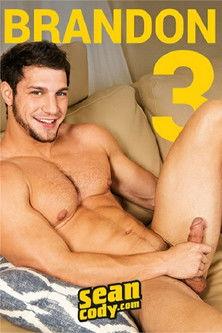 Brandon 3 film afişi