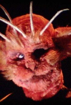 Rescue Party film afişi