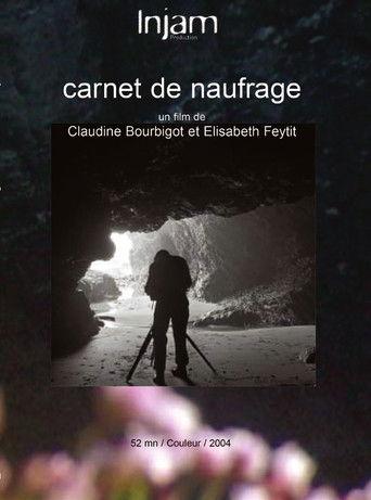 Carnet de naufrage film afişi