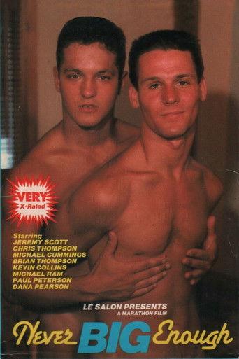 Never Big Enough film afişi