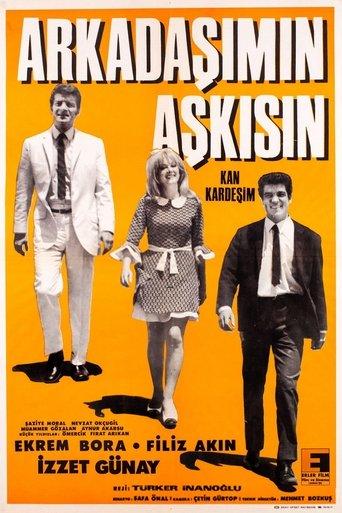 Arkadaşımın Aşkısın film afişi