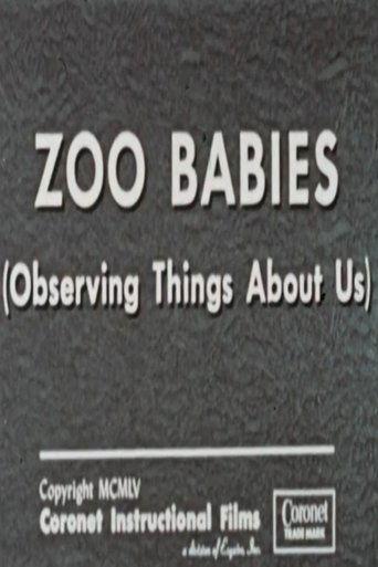 Zoo Babies (Observing Things About Us) film afişi