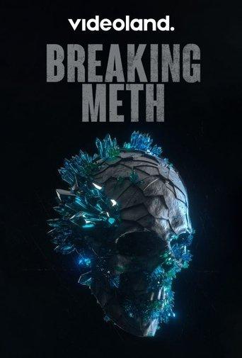 Breaking Meth film afişi