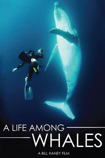 A Life Among Whales film afişi