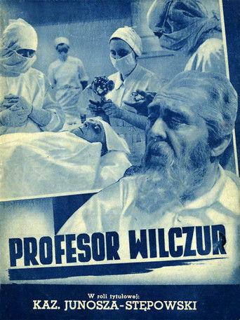 Profesor Wilczur film afişi