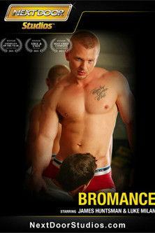 Bromance film afişi