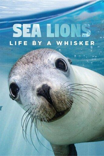Sea Lions: Life By a Whisker film afişi