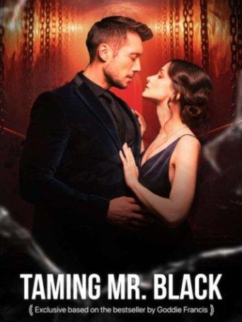 Taming Mr. Black film afişi