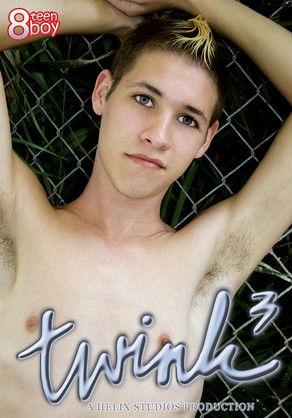 Twink 3 film afişi