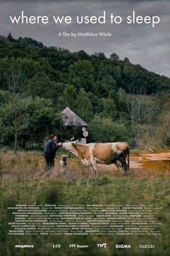 Where We Used to Sleep film afişi