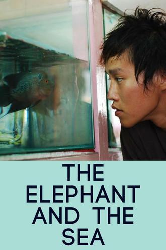 The Elephant and the Sea film afişi