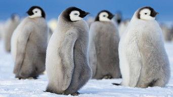 Heart of the Emperors