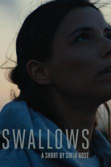 Swallows film afişi