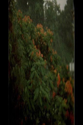 A Fortress film afişi