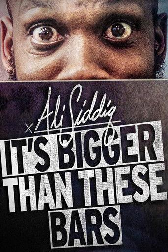 Ali Siddiq: It's Bigger Than These Bars film afişi