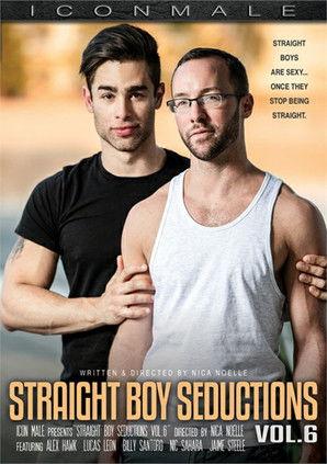 Straight Boy Seductions 6 film afişi
