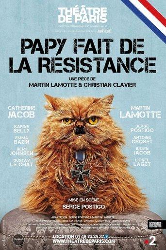 Papy fait de la résistance film afişi