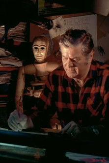 The Apprentice Wizard film afişi