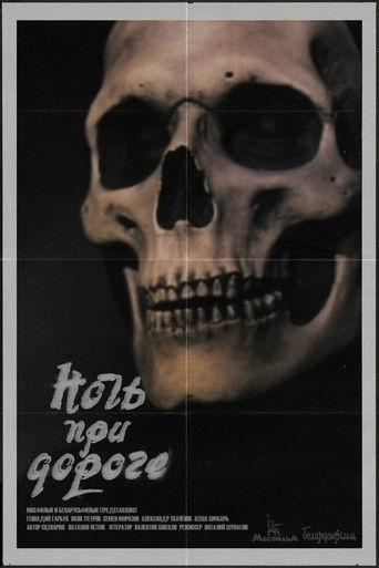 Night on the Road film afişi