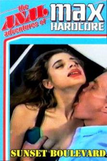 The Anal Adventures Of Max Hardcore 2 film afişi