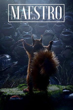 Maestro film afişi