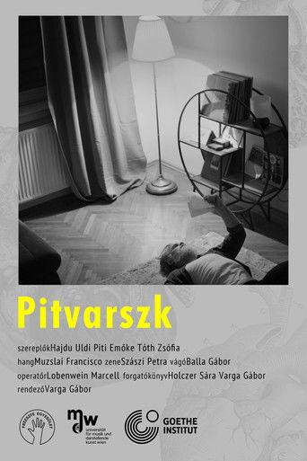 Pitvarszk film afişi