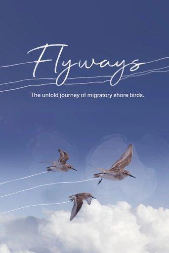 Flyways film afişi
