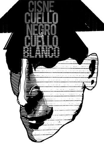 The Swan of Wishes film afişi