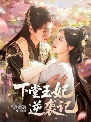 下堂王妃逆袭记 dizi afişi