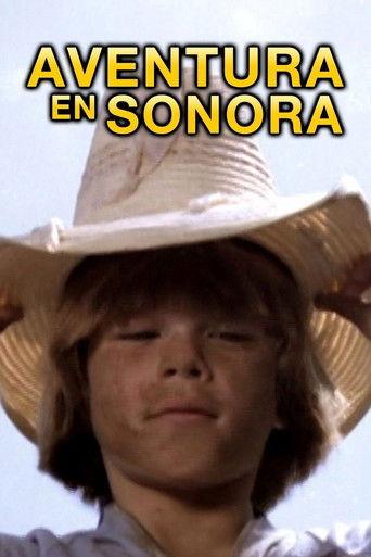 Tetakawi film afişi