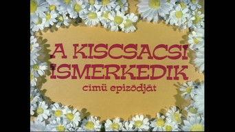 A kiscsacsi ismerkedik