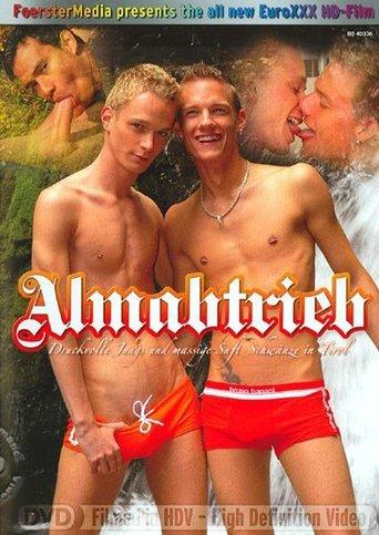 Almabtrieb film afişi