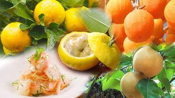 Japan's Fantastic Fruit