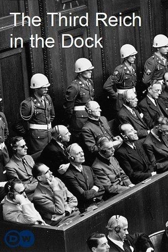 The Third Reich in the Dock film afişi