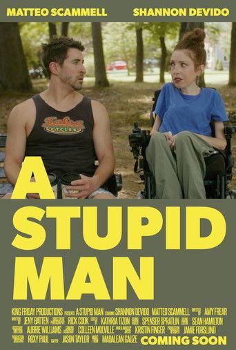 A Stupid Man film afişi