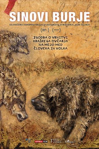 Sons of Bora film afişi