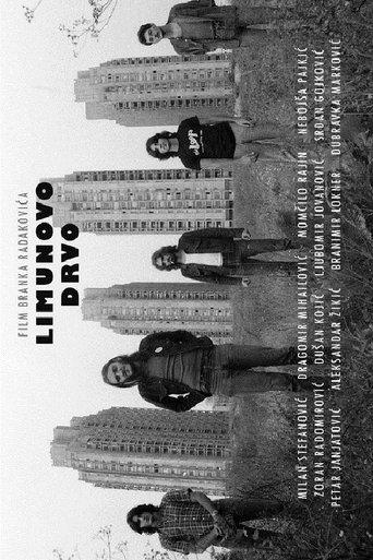 Lemon Tree film afişi