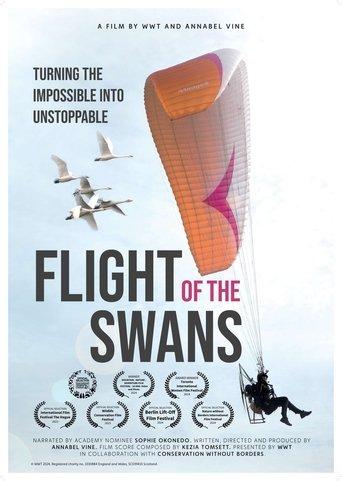 Flight of the Swans film afişi